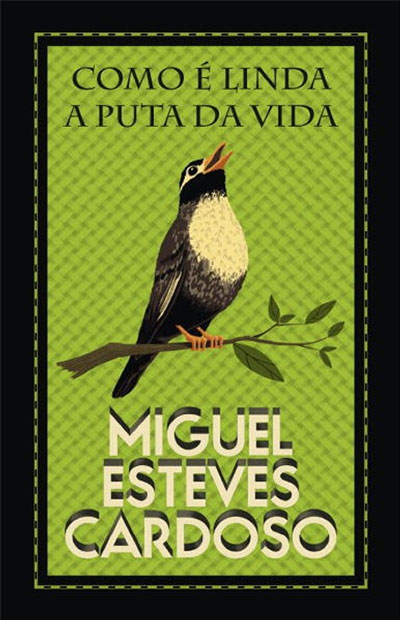 Como é Linda a Puta da Vida